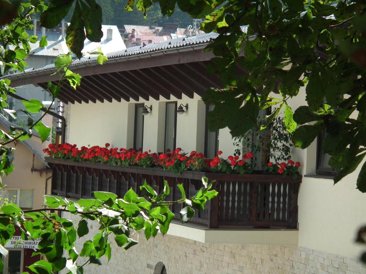 Hotel Carmen Предеал Екстериор снимка